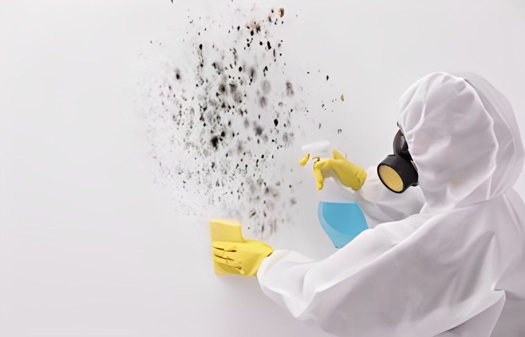 Mold removal by expert