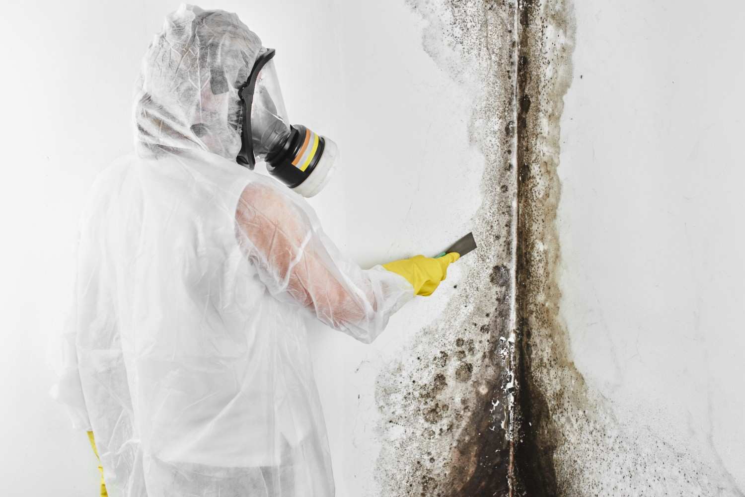 mold remediation expert testing wall for mold