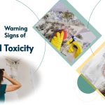 10 Warning signs of mold toxicity