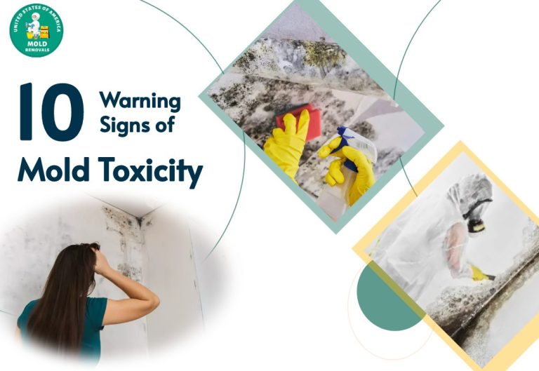 10 Warning signs of mold toxicity