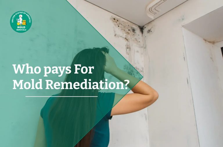 Who pays for mold remediation?